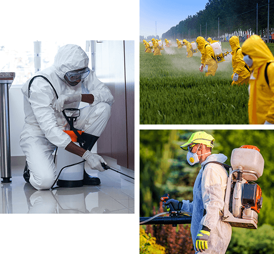 About Green City Pest Control Services